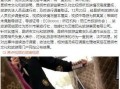 阜新导游爆料网最新,带你走进真实的阜新旅游故事