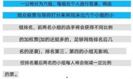 最新爆料环节消息,最新爆料环节背后的惊人内幕