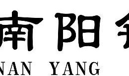 南阳银行最新爆料,揭秘金融创新与风险管控新动态